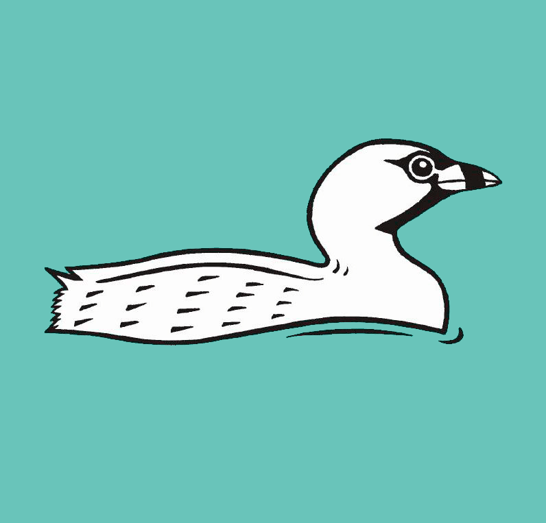 https://bristolornithologicalclub.co.uk/images/logo/BOC-Logo-Square.png