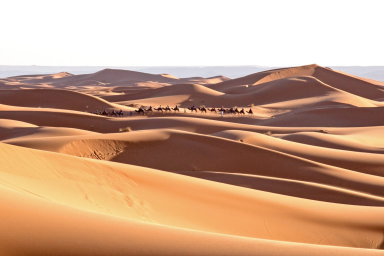 Sahara-Desert-1-768x512