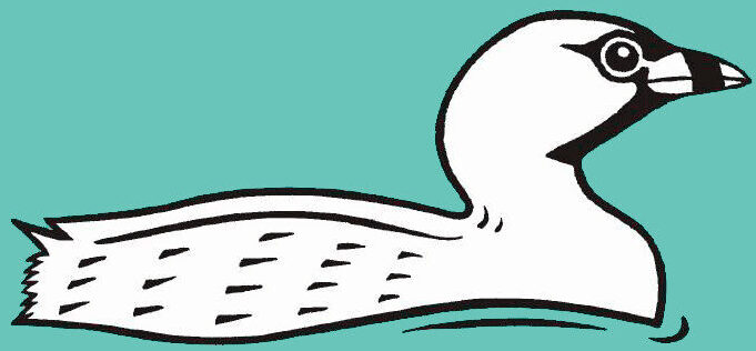Bristol Ornithological Club