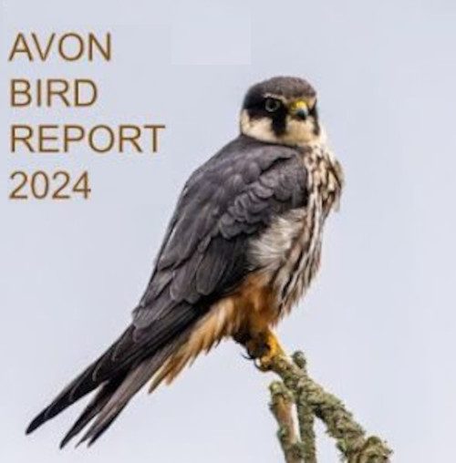 26 10 2025 abr 2024 front cover