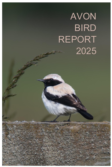 AVON Bird Report